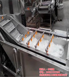 山東派菲克蔬菜噴淋清洗機 提升新疆蔬菜清洗效率的專業(yè)設(shè)備